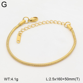2B2006180aajo-774  Stainless Steel Bracelet