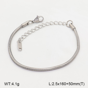 2B2006181vail-774  Stainless Steel Bracelet