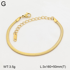 2B2006182aajo-774  Stainless Steel Bracelet