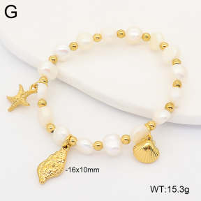 2B3004701vhnv-355  Stainless Steel Bracelet