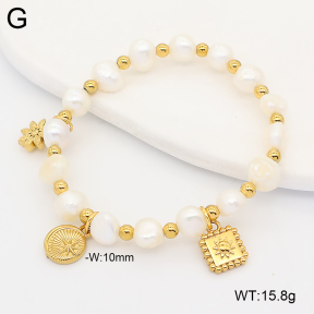 2B3004702vhnv-355  Stainless Steel Bracelet