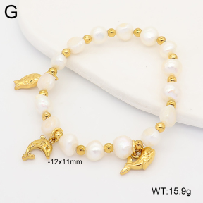 2B3004705vhnv-355  Stainless Steel Bracelet