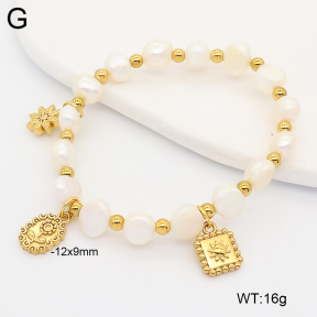 2B3004709vhnv-355  Stainless Steel Bracelet