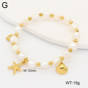 2B3004710vhnv-355  Stainless Steel Bracelet