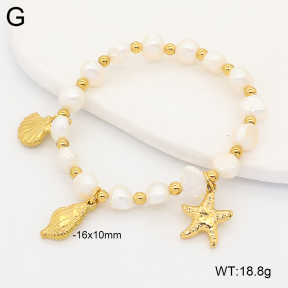2B3004711vhnv-355  Stainless Steel Bracelet