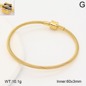 2BA202843vhha-760  Stainless Steel Bangle
