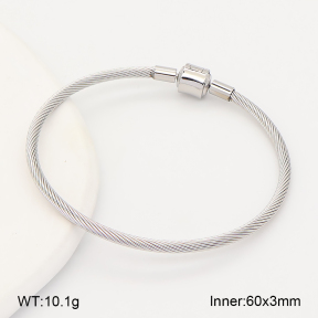 2BA202844bbov-760  Stainless Steel Bangle