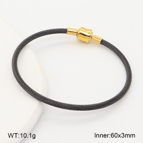 2BA202846vhha-760  Stainless Steel Bangle