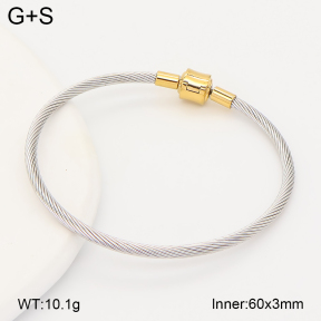 2BA202847vbpb-760  Stainless Steel Bangle
