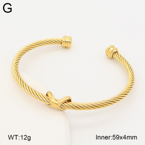 2BA202848bhva-760  Stainless Steel Bangle