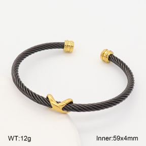 2BA202849bhva-760  Stainless Steel Bangle