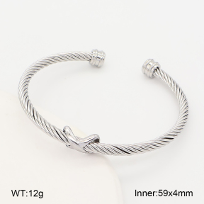 2BA202851bbov-760  Stainless Steel Bangle