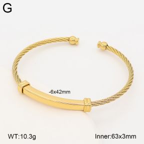 2BA202852bhva-760  Stainless Steel Bangle