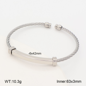 2BA202853bbov-760  Stainless Steel Bangle