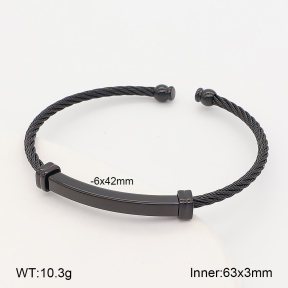 2BA202855bhva-760  Stainless Steel Bangle