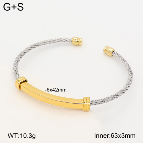 2BA202856vbpb-760  Stainless Steel Bangle