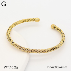 2BA202859bhva-760  Stainless Steel Bangle