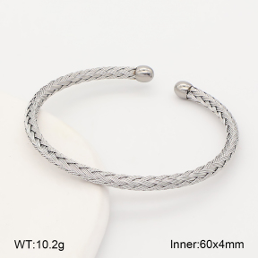 2BA202860vbnb-760  Stainless Steel Bangle
