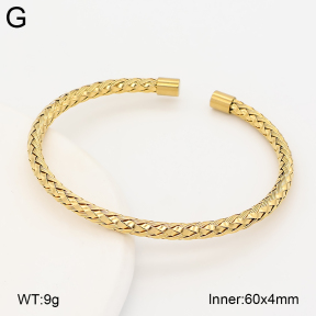 2BA202862bhva-760  Stainless Steel Bangle
