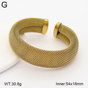 2BA202868vhnv-774  Stainless Steel Bangle