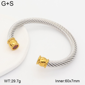 2BA403028vhha-774  Stainless Steel Bangle