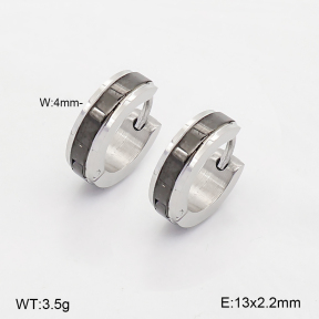 2E2007485avja-774  Stainless Steel Earrings