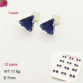 2E4005475ahjb-775  Fashion Copper Earrings