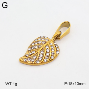 2P4001909aajl-355  Stainless Steel Pendant