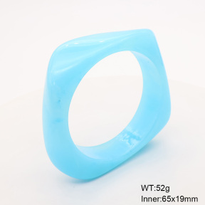 6BA300376bblo-900  Resin  Stainless Steel Bangle
