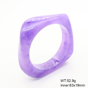 6BA300377bblo-900  Resin  Stainless Steel Bangle
