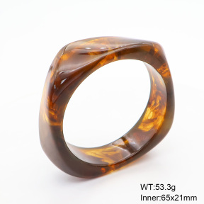 6BA300385bblo-900  Resin  Stainless Steel Bangle