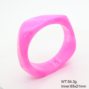 6BA300386bblo-900  Resin  Stainless Steel Bangle