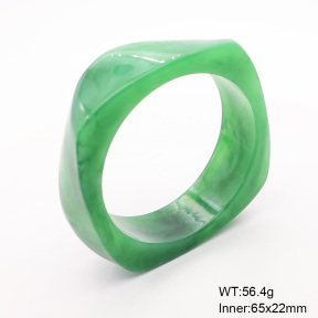 6BA300394bblo-900  Resin  Stainless Steel Bangle