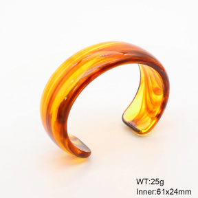 6BA300421aako-900  Resin  Stainless Steel Bangle