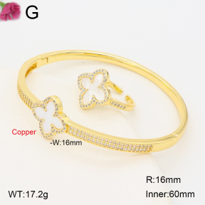 F2S013732biib-J201  Fashion Copper Set