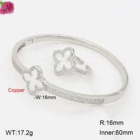 F2S013733biib-J201  Fashion Copper Set