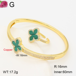 F2S013734biib-J201  Fashion Copper Set