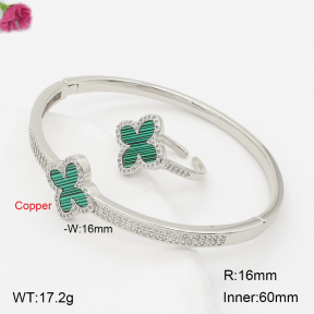 F2S013735biib-J201  Fashion Copper Set