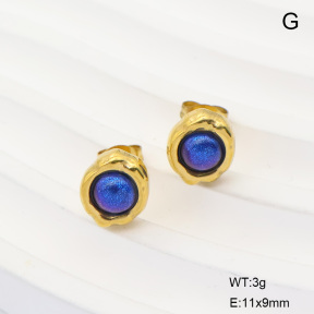 6E3002885vbll-G029  316 Pin 18K PVD Resin  Stainless Steel Earrings