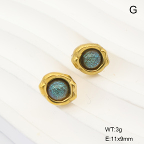 6E3002887vbll-G029  316 Pin 18K PVD Resin  Stainless Steel Earrings