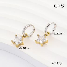 6E4004894vbpb-908  316 Pin 14K PVD Zircon  Stainless Steel Earrings