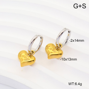 6E4004906vbnl-908  316 Pin 18K PVD  Stainless Steel Earrings