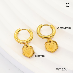 6E4004908vbnl-908  316 Pin 18K PVD  Stainless Steel Earrings