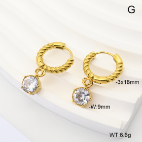 6E4004914bhil-908  316 Pin 14K PVD Zircon  Stainless Steel Earrings