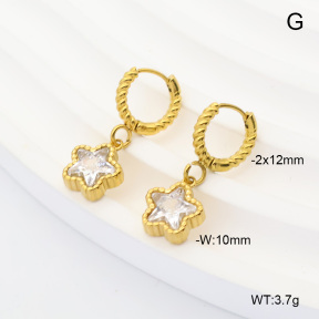 6E4004919vhha-908  316 Pin 14K PVD Zircon  Stainless Steel Earrings