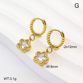6E4004929bhva-908  316 Pin 14K PVD Zircon  Stainless Steel Earrings