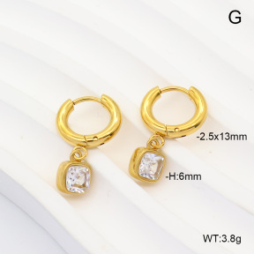 6E4004936vbpb-908  316 Pin 14K PVD Zircon  Stainless Steel Earrings