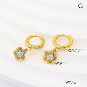 6E4004943bhva-908  316 Pin 14K PVD Zircon  Stainless Steel Earrings