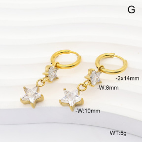 6E4004956ahlv-908  316 Pin 14K PVD Zircon  Stainless Steel Earrings