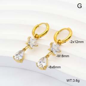6E4004958vhkb-908  316 Pin 14K PVD Zircon  Stainless Steel Earrings